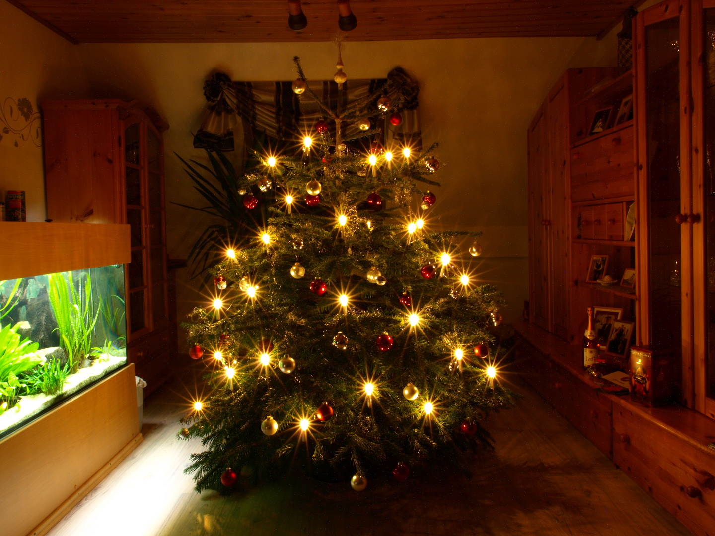 Weihnachtsbaum 2013