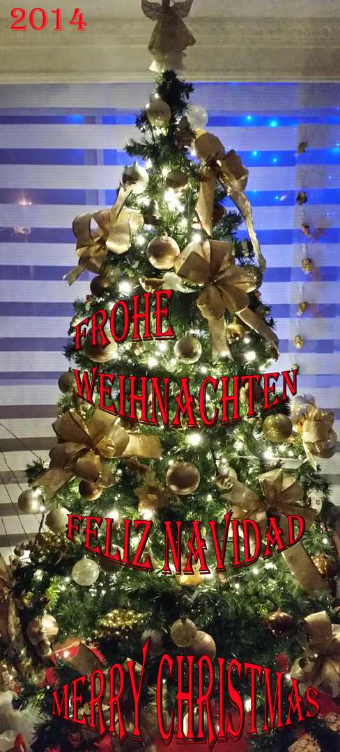 WEIHNACHTSBAUM 2014