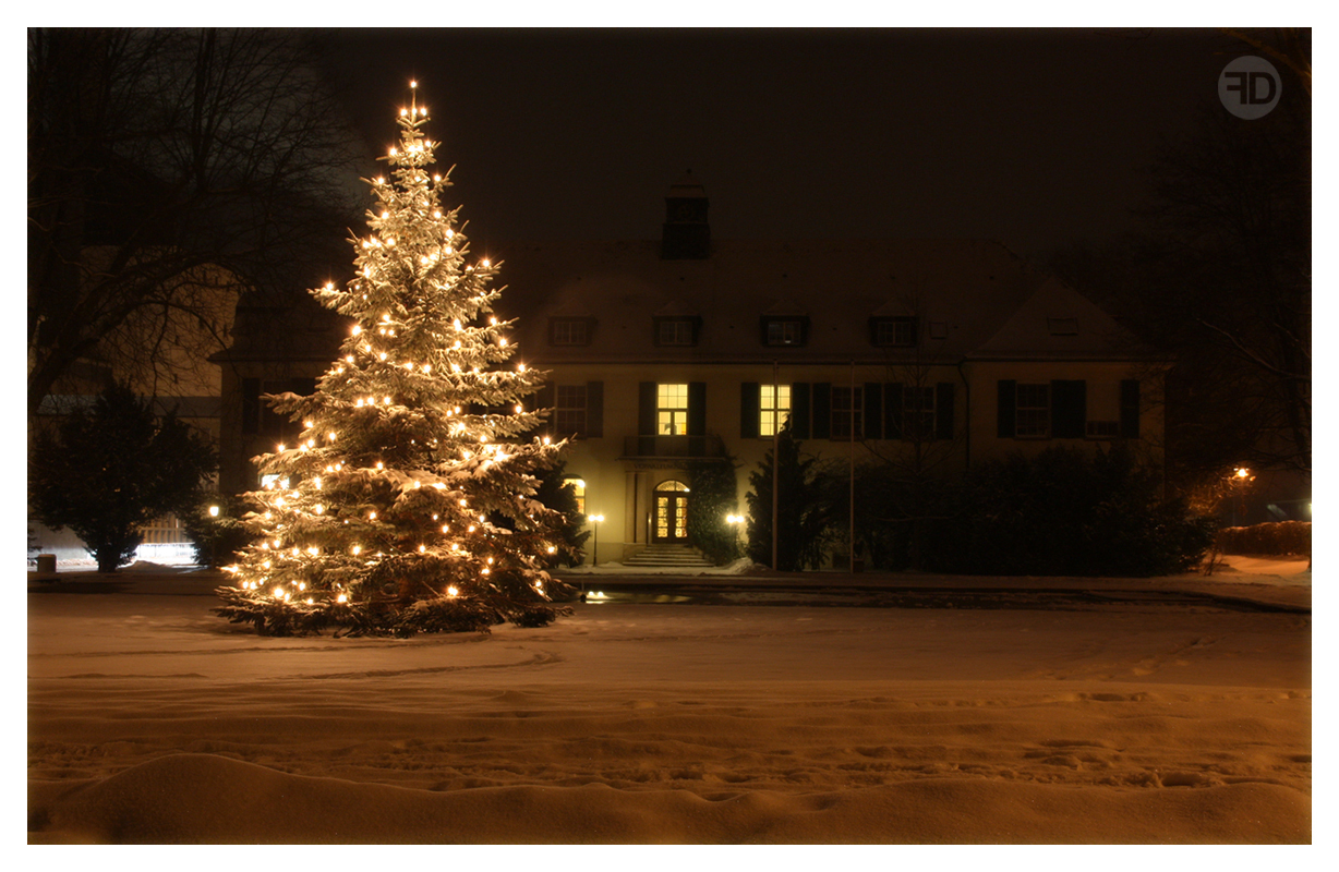 Weihnachtsbaum