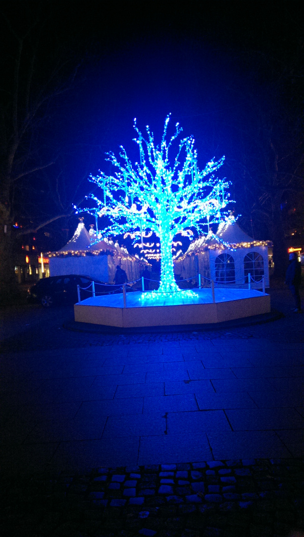 Weihnachtsbaum ...