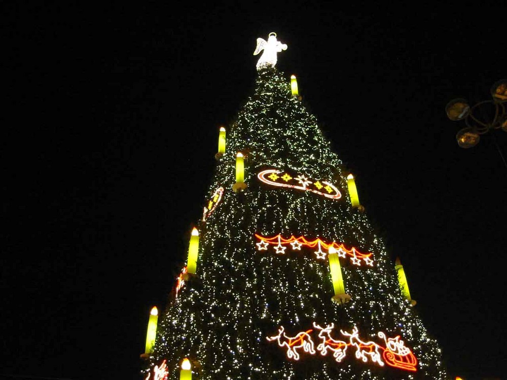 Weihnachtsbaum