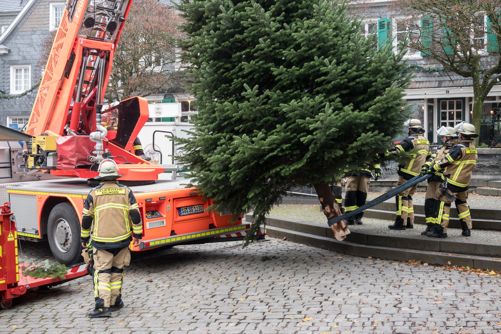 Weihnachtsbaum