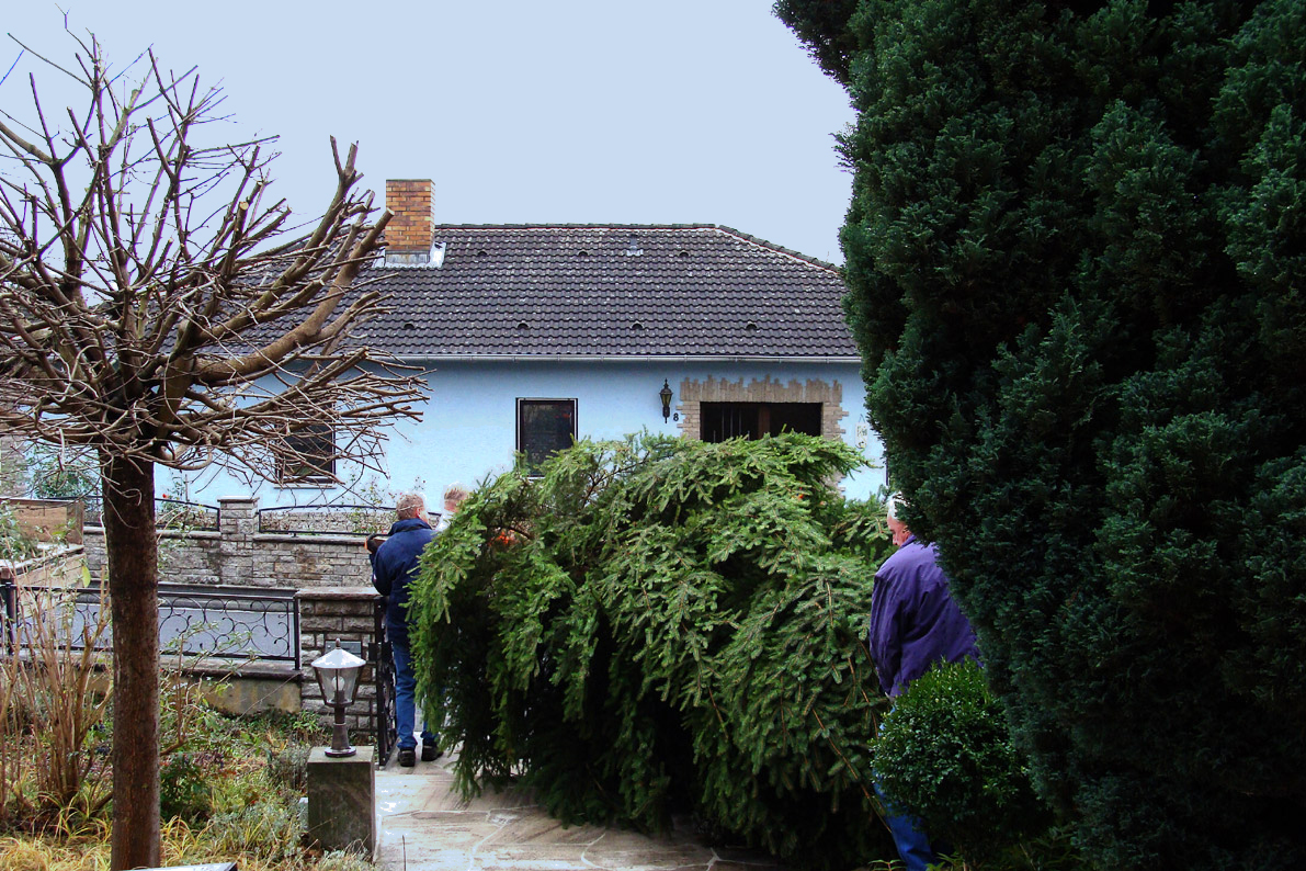 Weihnachtsbaum