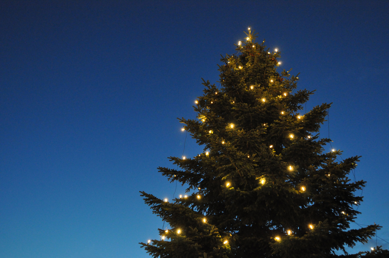 Weihnachtsbaum