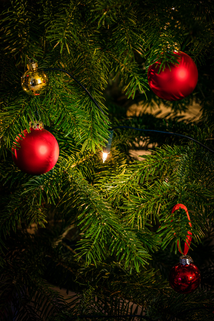 Weihnachtsbaum 600