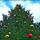 Weihnachtsbaum