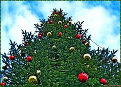 Weihnachtsbaum