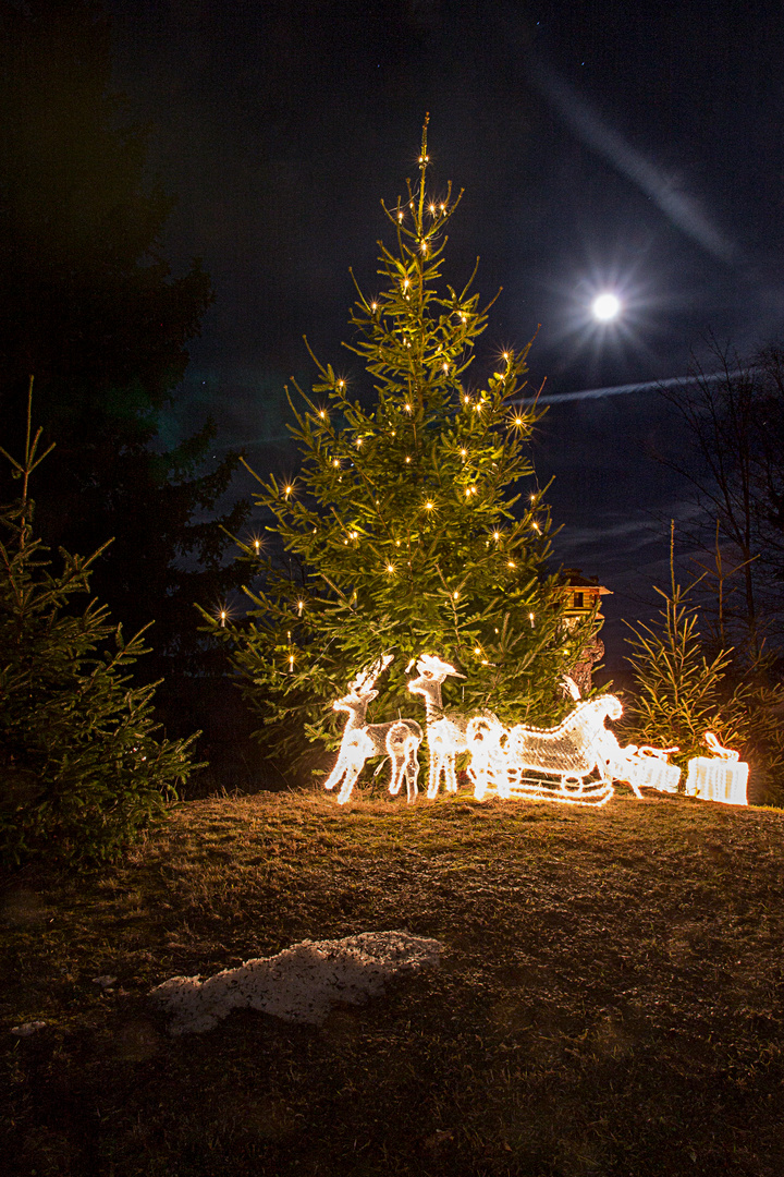 Weihnachtsbaum