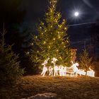 Weihnachtsbaum