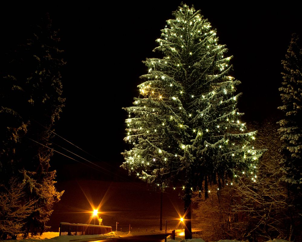 Weihnachtsbaum