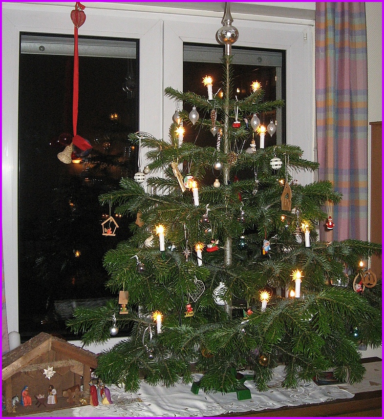 Weihnachtsbaum