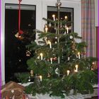 Weihnachtsbaum