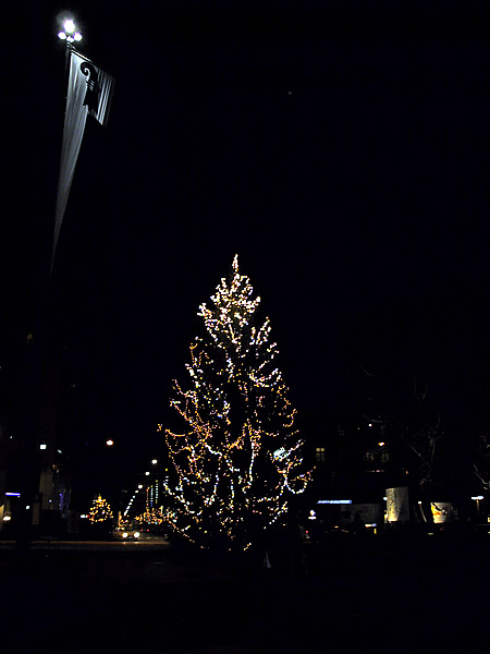 Weihnachtsbaum