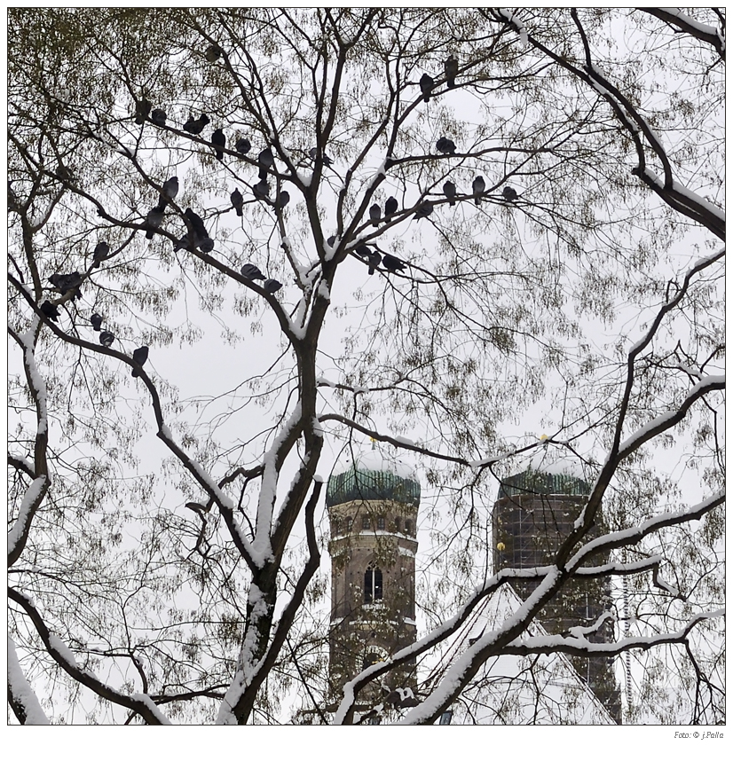 Weihnachtsbaum