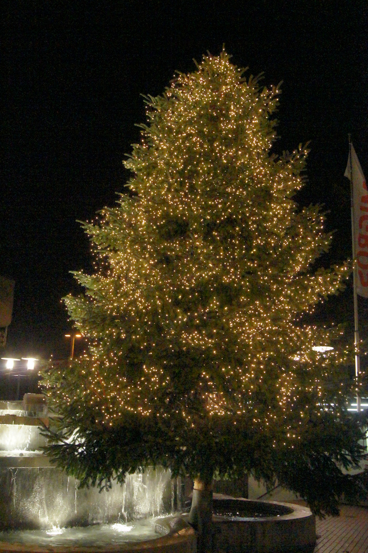 Weihnachtsbaum