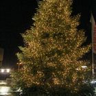 Weihnachtsbaum