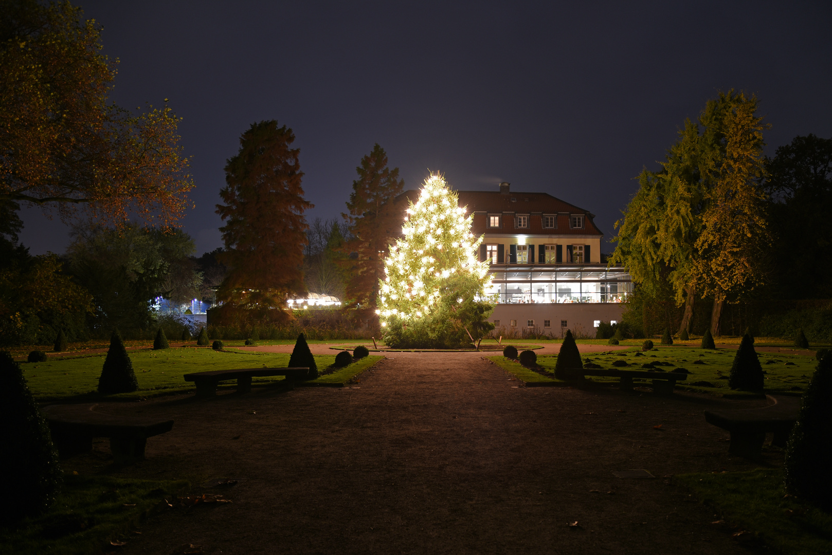 Weihnachtsbaum