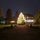 Weihnachtsbaum