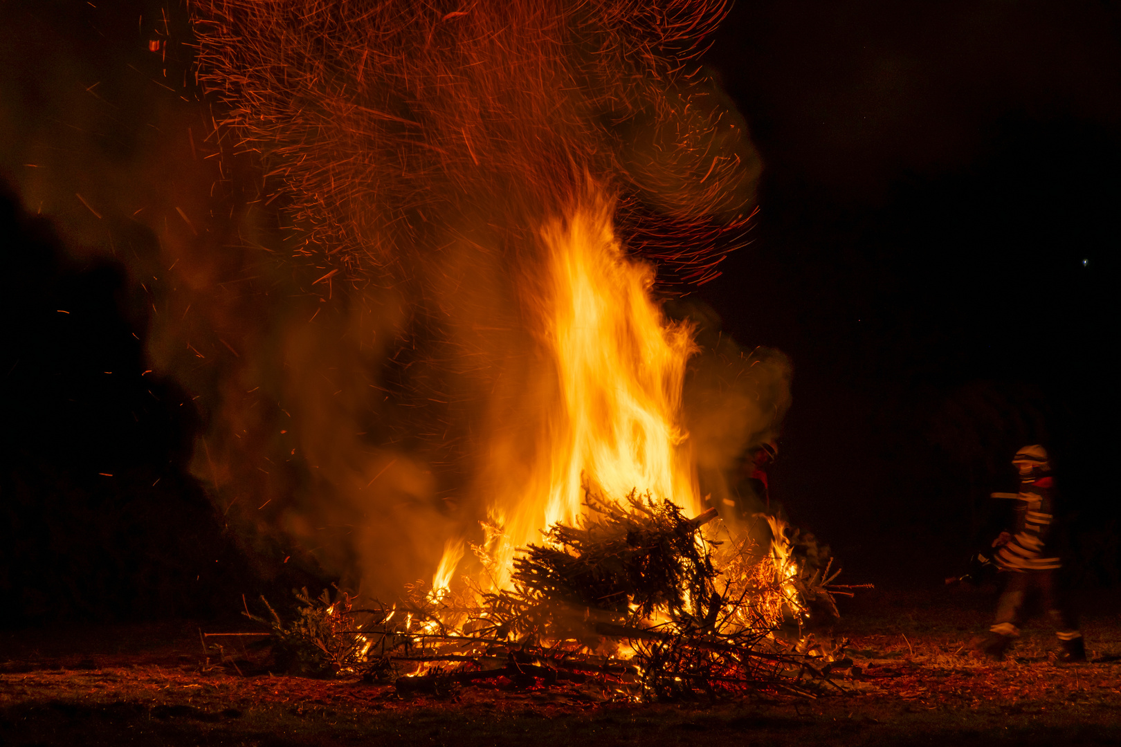 Weihnachtsbaum ade Foto & Bild spezial, bäume, winter Bilder auf