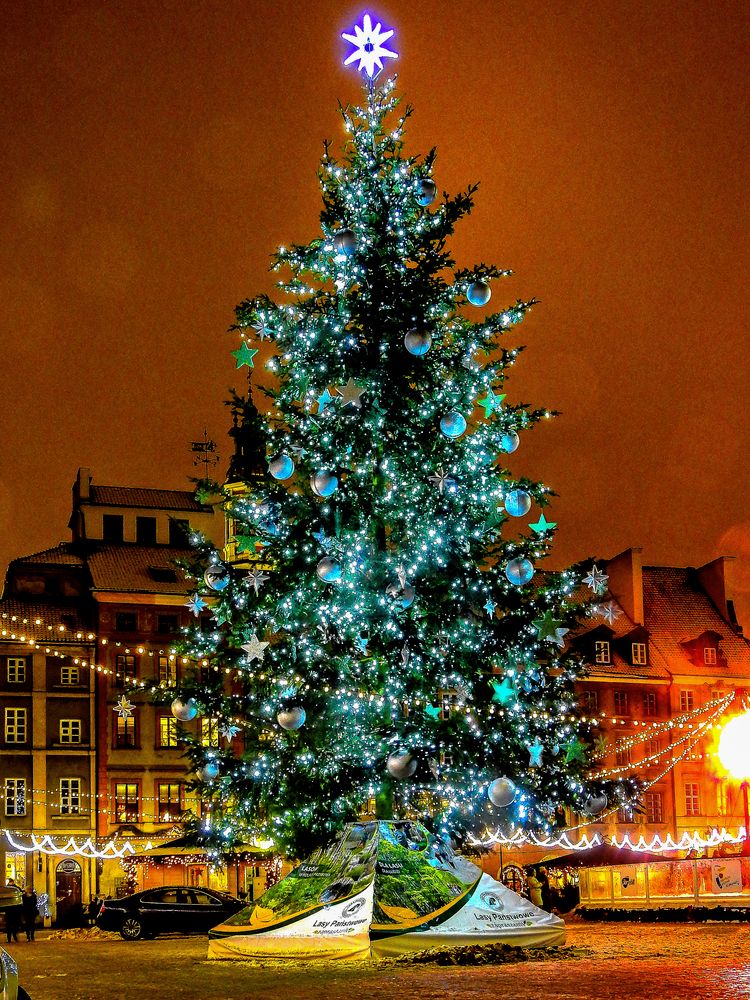 Weihnachtsbaum am Altstadtmarkt.