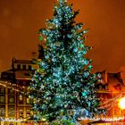 Weihnachtsbaum am Altstadtmarkt.