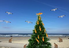 Weihnachtsbaum am Meer ;-)