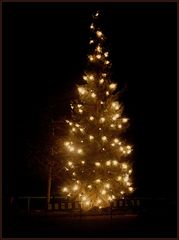 Weihnachtsbaum am Messegelände