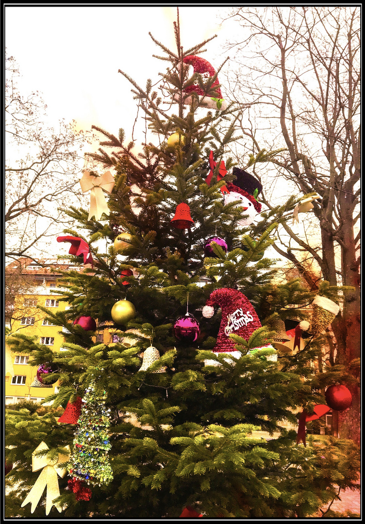 Weihnachtsbaum am Park der Freiheit