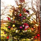 Weihnachtsbaum am Park der Freiheit