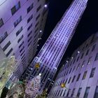 Weihnachtsbaum am Rockefeller Center