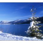 Weihnachtsbaum am Walchensee