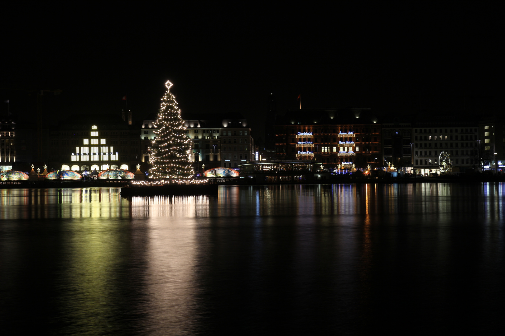 Weihnachtsbaum an der Alster