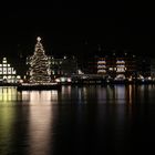 Weihnachtsbaum an der Alster