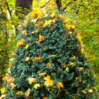 weihnachtsbaum anders