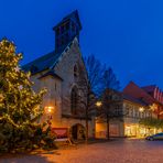 Weihnachtsbaum auf dem Ascherslebener Markt