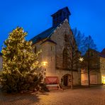 Weihnachtsbaum auf dem Markt