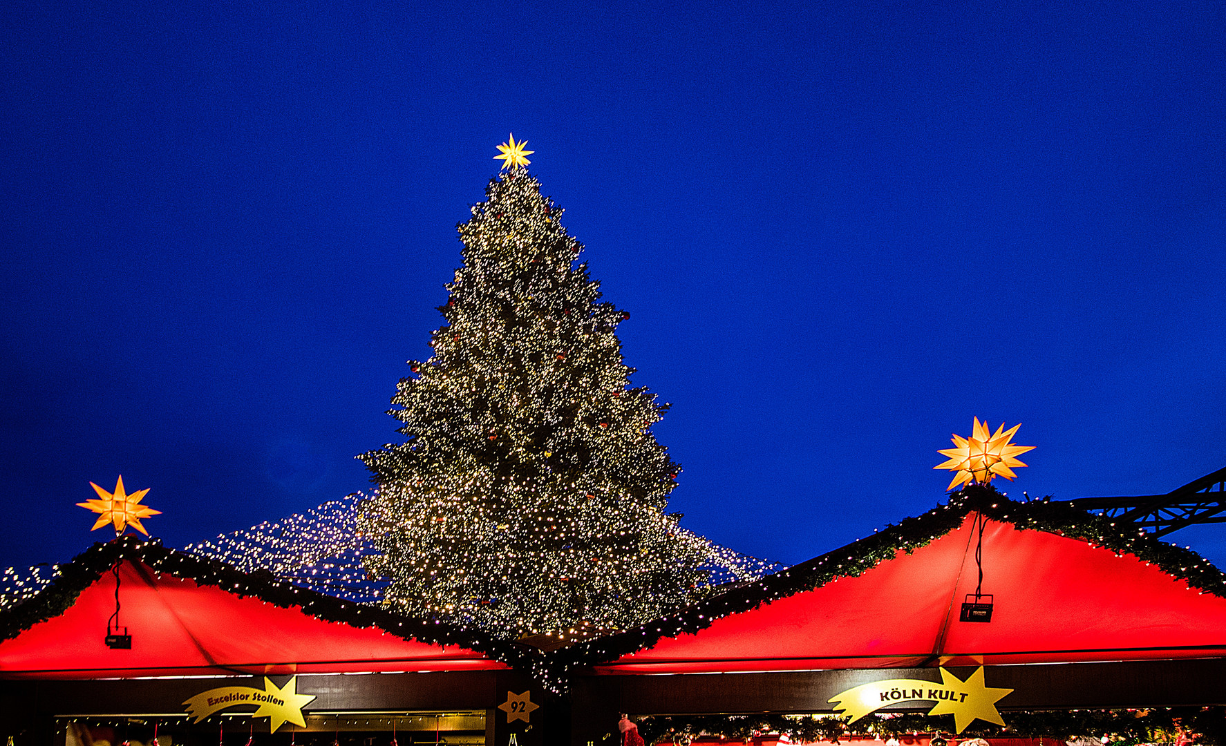 Weihnachtsbaum auf dem Roncalli-Platz an der Dom-Südseite