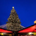 Weihnachtsbaum auf dem Roncalli-Platz an der Dom-Südseite