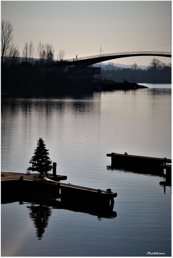 Weihnachtsbaum auf dem Wasser