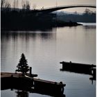 Weihnachtsbaum auf dem Wasser