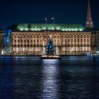 Weihnachtsbaum auf der Alster