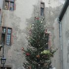 Weihnachtsbaum auf der Ronneburg