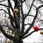 Weihnachtsbaum auf Gut Thansen 2014