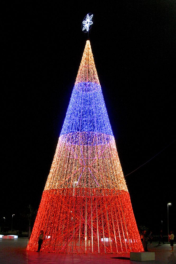 Weihnachtsbaum auf Madeira