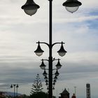 weihnachtsbaum auf tenerife