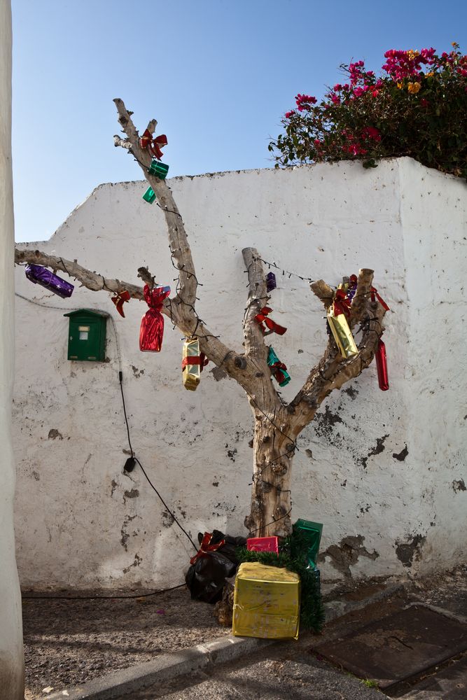 Weihnachten 2022 Teneriffa Weihnachtsbaum auf Teneriffa Foto & Bild weihnachten, spain, world