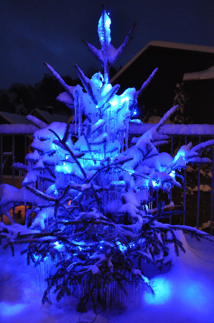 Weihnachtsbaum auf unserem Balkon