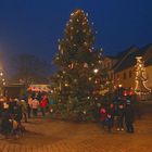 Weihnachtsbaum auf unserem Markt