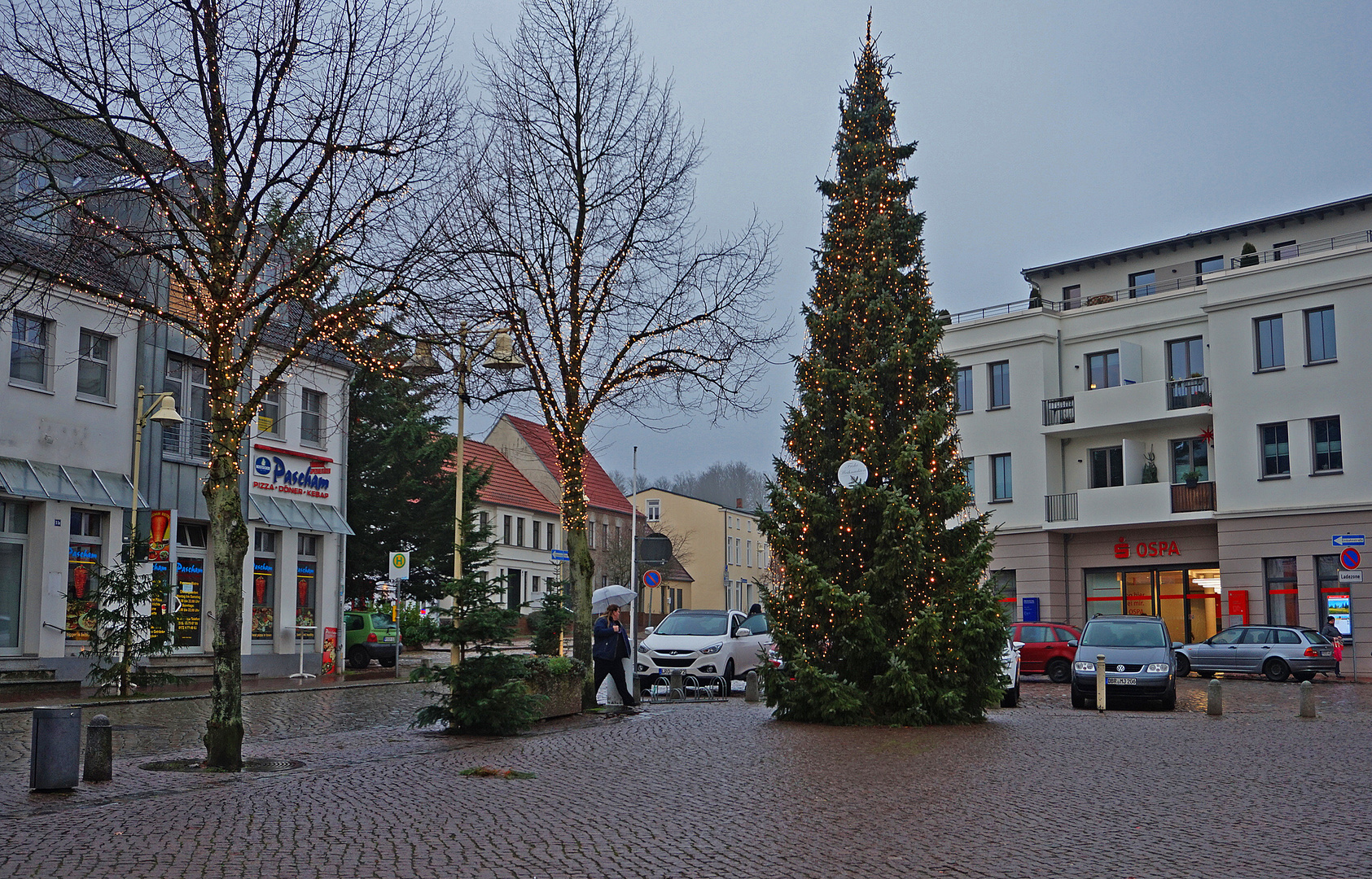 Weihnachtsbaum aufdem Markt