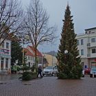 Weihnachtsbaum aufdem Markt